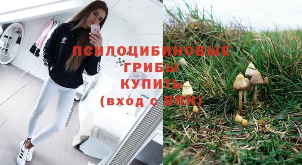 соль ск Пересвет