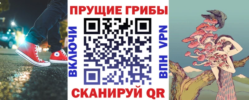 Псилоцибиновые грибы MAGIC MUSHROOMS  hydra маркетплейс  Мышкин  купить наркоту 